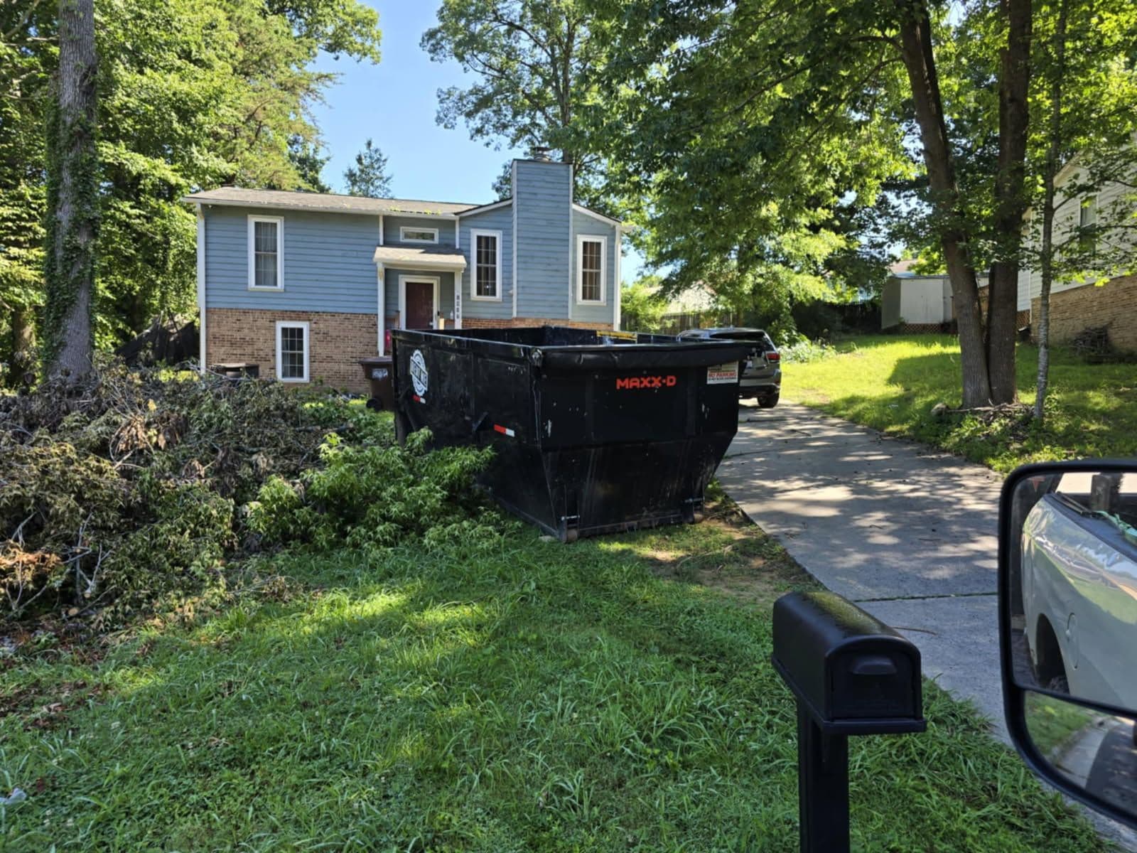 Efficient Backyard Clean-Up with Dumpster Rentals