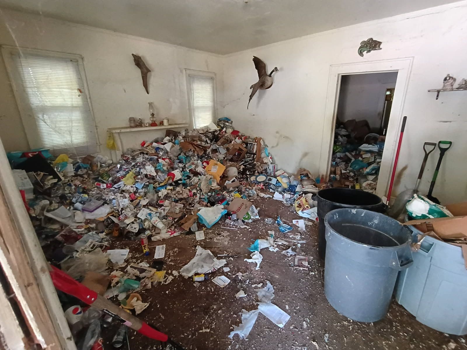 Expert Foreclosure Cleanouts for Renewal image