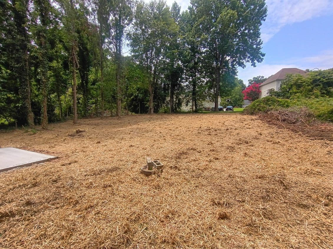 Gallery photos for Expert Yard Transformation by Carolina Dumpster Co: Image #1