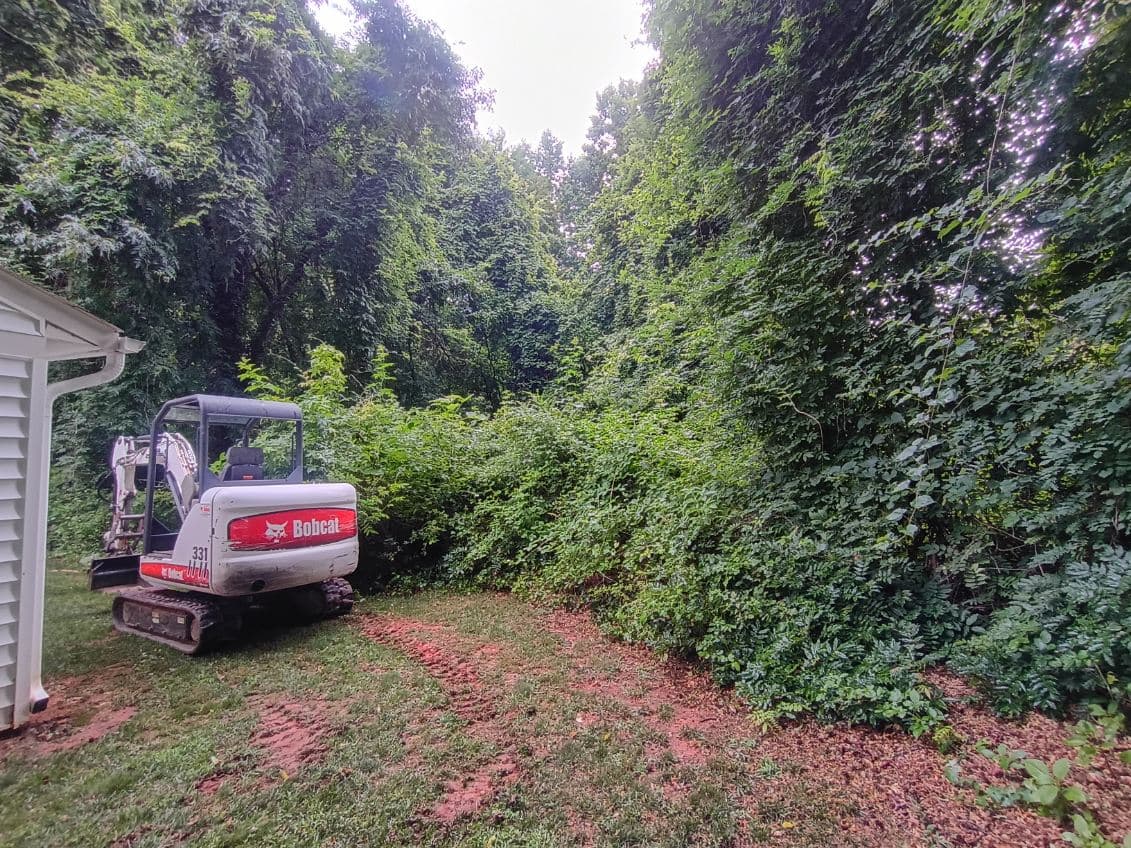 Gallery photos for Expert Yard Transformation by Carolina Dumpster Co: Image #2
